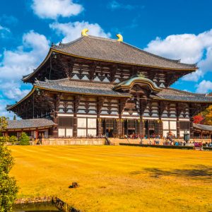 TOUR DU LỊCH NHẬT BẢN HOA ANH ĐÀO  KHỞI HÀNH TỪ HÀ NỘI